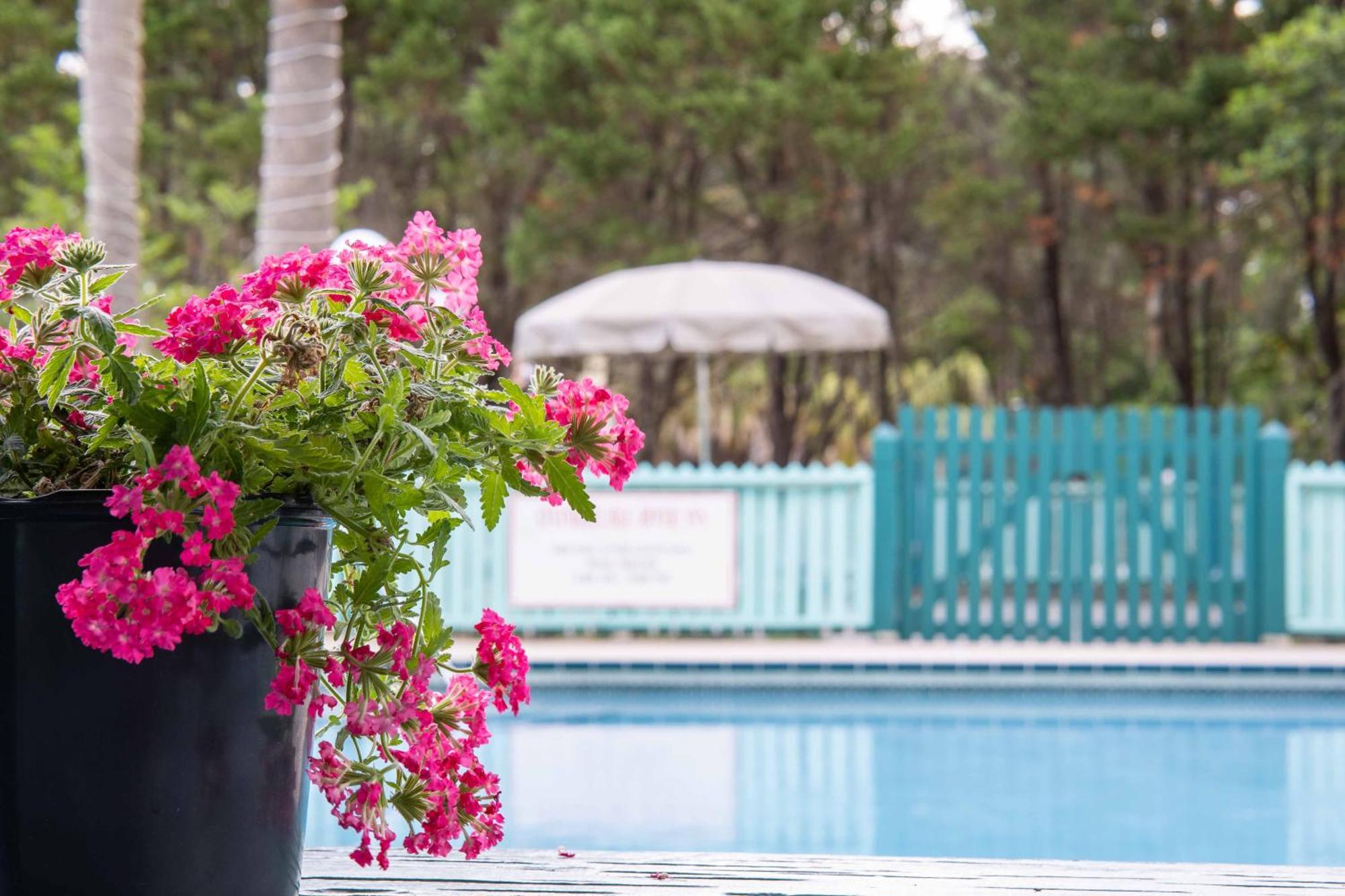 Steinhatchee River Inn And Marina 외부 사진